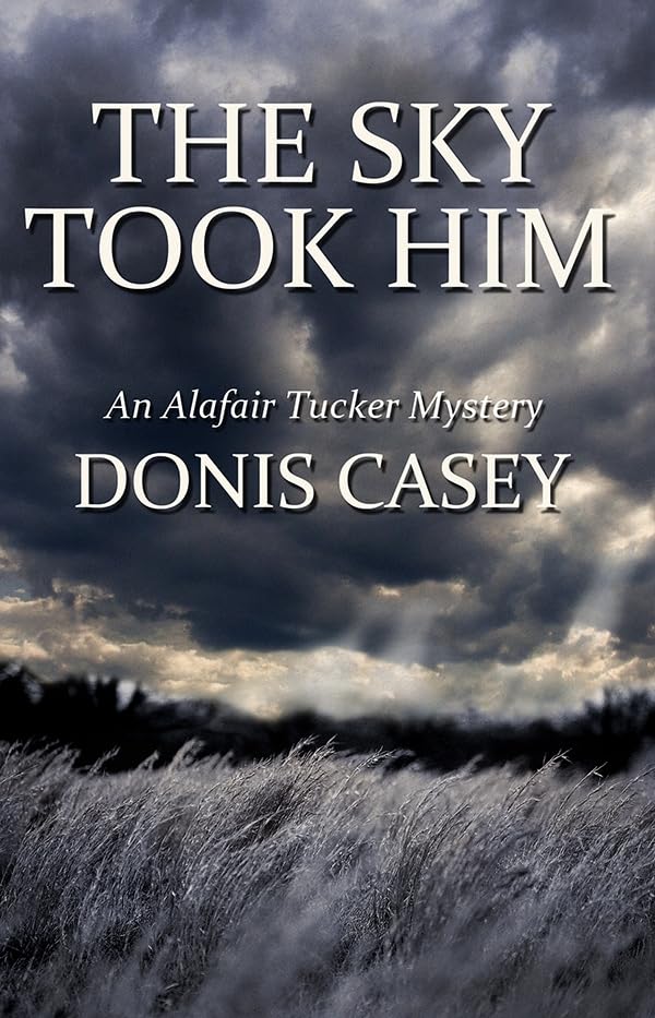 The Sky Took Him book cover