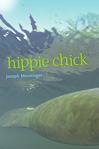Hippie Chick book cover
