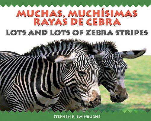 Cover of Muchas, Muchisimas Rayas de Cebra