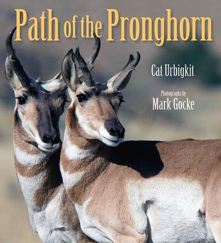 Path of the Pronghorn book cover