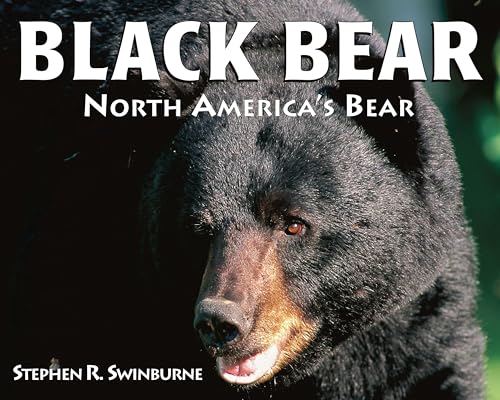 Cover of Black Bear