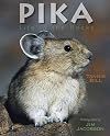Pika: Life in the Rocks