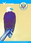 The Bald Eagle (American Symbols & Their Meanings)