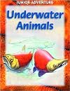 Underwater animals (Explorers)
