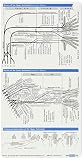 Neurology Pocketcard Set