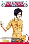 Bleach, Volume 4: Quincy Archer Hates You