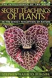 The Secret Teachings Of Plants