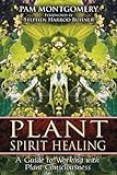 Plant Spirit Healing