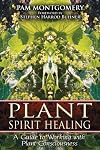 Plant Spirit Healing: A Guide to Working with Plant Consciousness