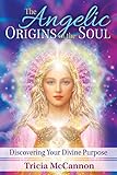 The Angelic Origins Of The Soul Discovering Your Divine Purpose