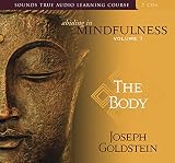 Abiding In Mindfulness The Body V 1