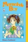 Marmalade Boy, Vol. 6