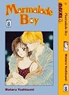 Marmalade Boy, Vol. 8