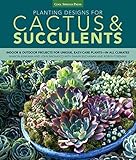 Planting Designs For Cactus Succulents Indoor And Outdoor Projects For Unique Easycare Plantsin All Climates