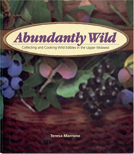 Abundantly Wild cover
