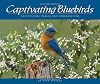 Captivating Bluebirds: Exceptional Images and Observations