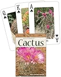 Cactus Of The Southwest Your Way To Easily Identify Cacti Adventure Quick Guides