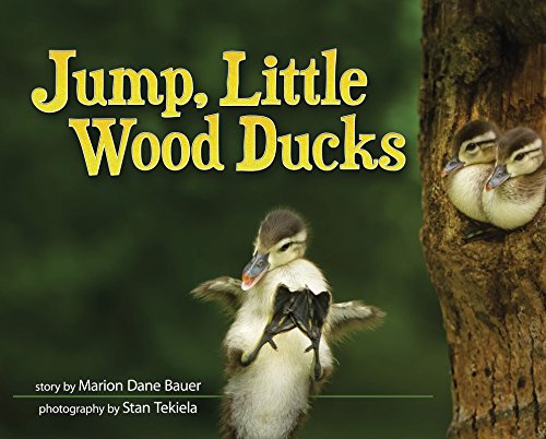 Cover of Jump, Little Wood Ducks
