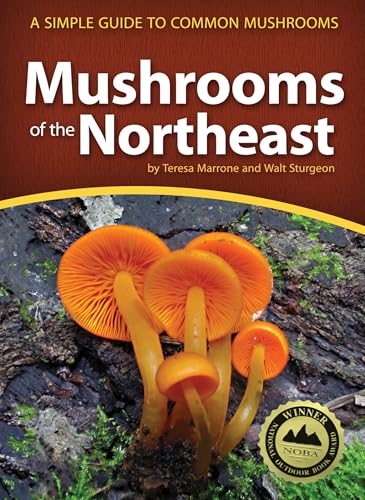 Mushrooms of the Northeast book cover