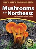Mushrooms of the Northeast