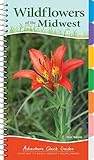 Wildflowers Of The Midwest Your Way To Easily Identify Wildflowers Adventure Quick Guides