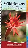 Wildflowers Of Southern California Your Way To Easily Identify Wildflowers Adventure Quick Guides