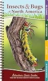 Insects Bugs Of North America Your Way To Easily Identify Insects Bugs Adventure Quick Guides