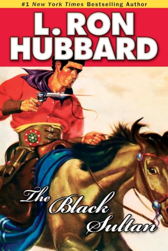 The Black Sultan book cover