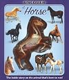 Uncover a Horse (Uncover Books)