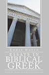 Essays in Biblical Greek