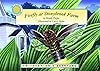 Firefly at Stony Brook Farm