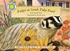 Badger At Sandy Ridge Road