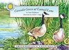 Canada Goose at Cattail Lane