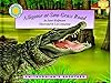 Alligator at Saw Grass Road