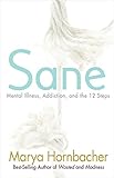 Sane Mental Illness Addiction And The 12 Steps