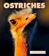 Ostriches (New Naturebooks)