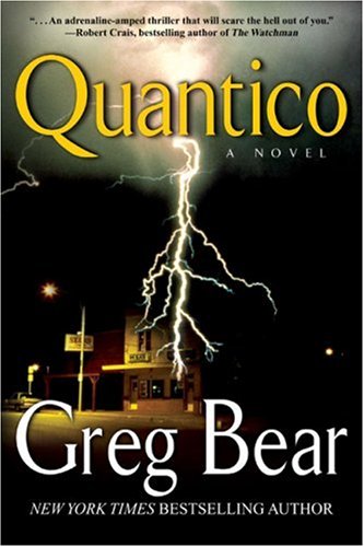 Quantico book cover