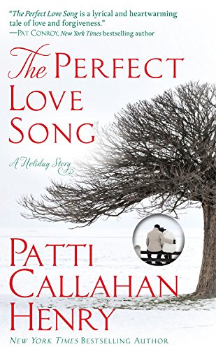 The Perfect Love Song book cover