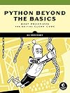 Beyond the Basic Stuff with Python: Best Practices for Writing Clean Code