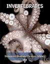 Invertebrates (Britannica Illustrated Science Library)