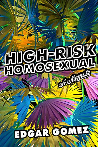 High-Risk Homosexual book cover