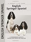 English Springer Spaniel