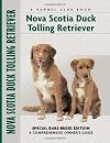 Nova Scotia Duck Tolling Retriever