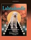 Labradoodle