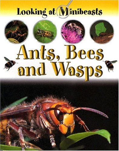 Cover of Ants, Bees and Wasps