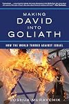 Making David into Goliath: How the World Turned Against Israel
