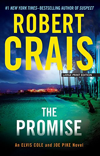 The Promise book cover
