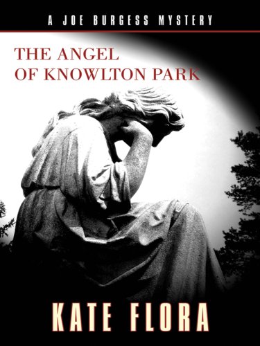 The Angel of Knowlton Park book cover