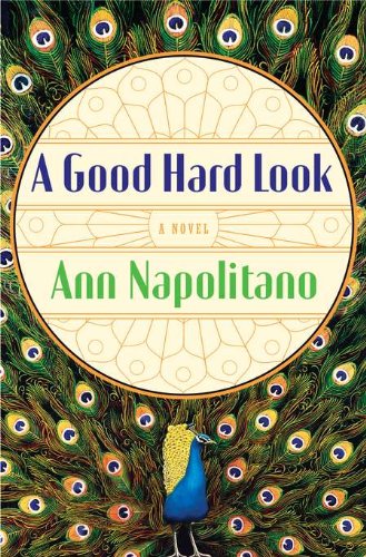 A Good Hard Look book cover