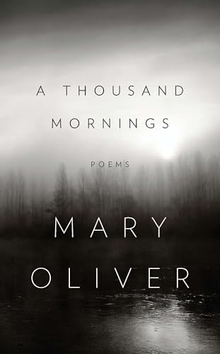 A Thousand Mornings book cover